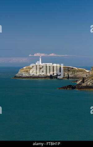 Blick von Süd-Stack, Anglesey, Wales, einschließlich Leuchtturm Stockfoto