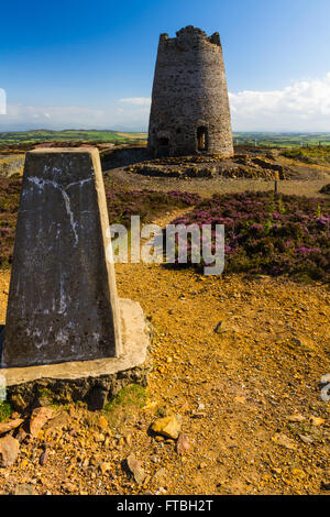 Triangulation Point und verlassenen Windmühle. Parys Berg, Amlwch, Anglesey, Wales, Vereinigtes Königreich Stockfoto