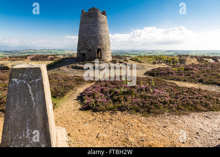 Triangulation Point und verlassenen Windmühle. Parys Berg, Amlwch, Anglesey, Wales, Vereinigtes Königreich Stockfoto