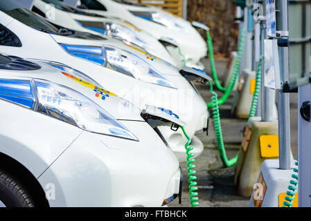 Kristianstad, Schweden - 20. März 2016: Die Aufladung von einigen weißen Nissan elektrische Autos. Grüne Kabel aufgerollt hängen an th Stockfoto