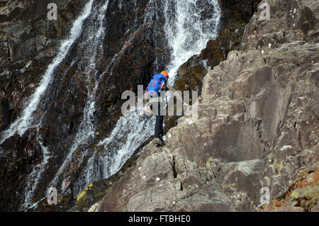 Junger Mann Klettern eine der Wasserfälle scheut Ghyll im Langdale, Cumbria UK. Stockfoto