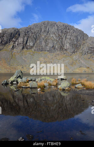 Pavey Arche spiegelt sich in den ruhigen Gewässern des scheut Tarn Langdale, Cumbria UK. Stockfoto