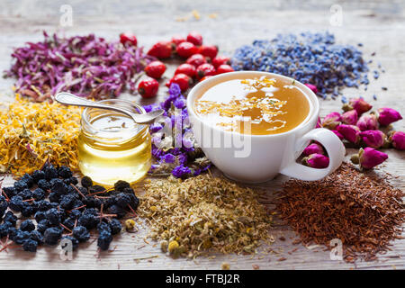 Cup der gesunden Tee, Honig, heilende Kräuter, Kräutertee Sortiment und Beeren auf Tisch. pflanzliche Arzneimittel. Stockfoto