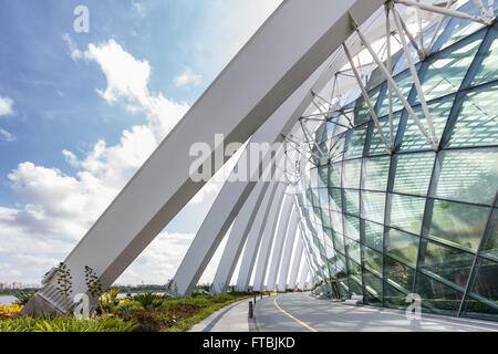 Nebelwald Garten in Singapur Stockfoto