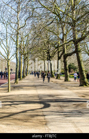 Von Bäumen gesäumten Avenue auf der Mall in Westminster, London, Großbritannien. Menschen zu Fuß in der Wintersonne mit langen Schatten. London Platanen Stockfoto