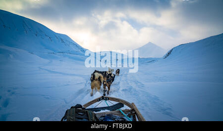 Hundeschlitten Scott Turnerbreen Glacier, in der Nähe von Longyearbyen, Spitzbergen, Svalbard Stockfoto