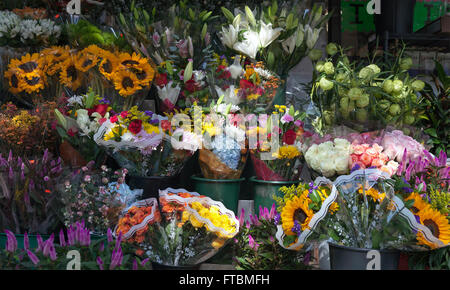 Blumen gibt es draußen in einem Laden in New York City. Stockfoto