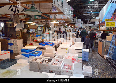 Tsukiji Fischmarkt Tokyo, Japan Stockfoto