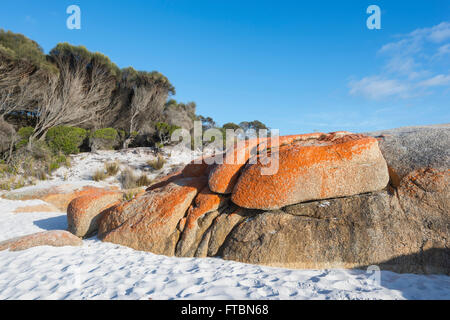 Die Bucht von Feuer in Tasmanien ist der orange Flechten gemacht - überdachte Granitfelsen, TAS, Australien Stockfoto