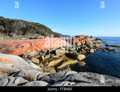 Die Bucht von Feuer in Tasmanien ist der orange Flechten gemacht - überdachte Granitfelsen, TAS, Australien Stockfoto