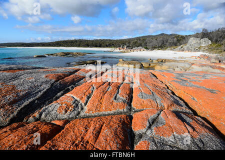 Die Bucht von Feuer in Tasmanien ist der orange Flechten gemacht - überdachte Granitfelsen, TAS, Australien Stockfoto