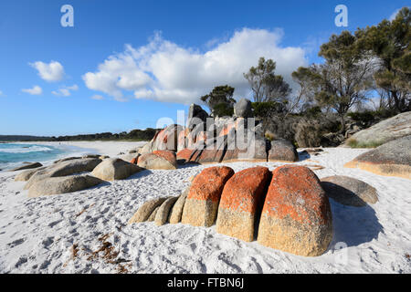 Die Bucht von Feuer in Tasmanien ist der orange Flechten gemacht - überdachte Granitfelsen, TAS, Australien Stockfoto