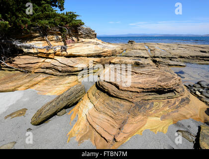 Maria Island National Park, Tasmanien, Australien Stockfoto