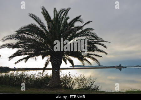 Palme im Sonnenuntergang an einem Strand bei Nora, Sardinien Stockfoto