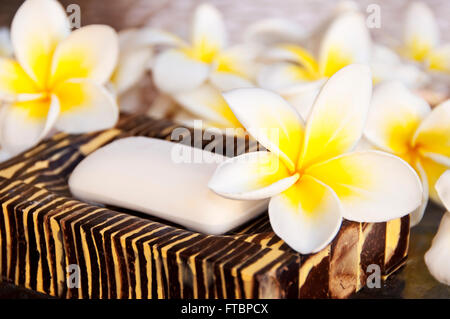 Seife und Frangipani-Blüten (Plumeria) Stockfoto