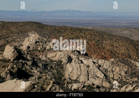 Berg des Teufels Punchbowl natürlichen Bereich County Los Angeles San Andres Schuld Fraktur Canyon bluff Punchbowl und Pinyon-Fehler Stockfoto