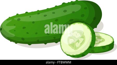 Gurke, isoliert auf weiss. Vektor-illustration Stock Vektor