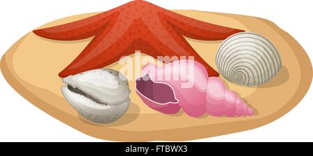 Seesterne und Muscheln im Sand. Vektor-illustration Stock Vektor