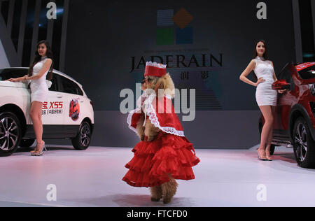 Peking, China Zhejiang Provinz. 25. März 2015. Ein Hund wie ein Modell posiert neben ausgestellten Autos bei der Eröffnung der 25. Ningbo International Auto Expo in Ningbo der ostchinesischen Provinz Zhejiang, 25. März 2015. © Hu Xuejun/Xinhua/Alamy Live-Nachrichten Stockfoto