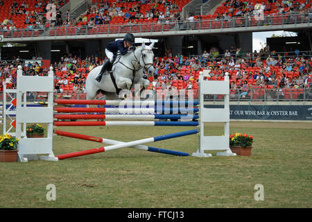 Sydney, Australien. 27. März 2016. Fräulein Sophia Carlon Reiten "Seine Eifersucht" konkurriert in der Junior Springreiten 6 Bar Pferdesport Reiten Wettbewerb bei der 2016 Sydney Royal Easter Show. Sophia Carlon gewann den dritten Preis in der Junior Show Jumping Contest. Bildnachweis: Hugh Peterswald/Pacific Press/Alamy Live-Nachrichten Stockfoto