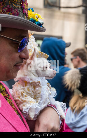 Ein Mann und seine Chihuahua sowohl in Top-Hats bei der jährlichen Easter Parade zu erarbeiten und Mütze-Festival in New York City Stockfoto