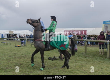 Die Living Heritage Land zeigen. Fahrer und Snowboarder konkurrieren in der Horse boarding-Event. Bildnachweis: Scott Carruthers/Alamy Live-Nachrichten Stockfoto