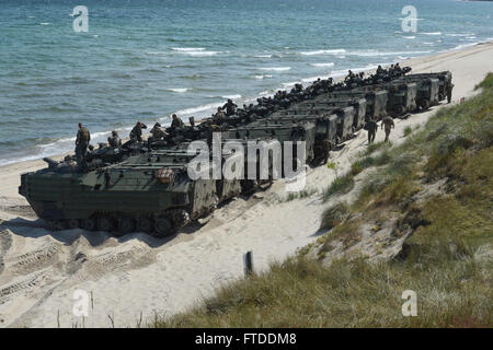 150613-N-HX127-528 Ravlunda, Schweden (13. Juni 2015)--Vereinigte Staaten Marinekorps amphibische Fahrzeuge richten Sie zurück zu ihrem Schiff nach eine amphibische Übung während der Baltic Operations (BALTOPS) 2015. BALTOPS ist eine jährliche multinationalen Übung zur Verbesserung der Flexibilität und Interoperabilität sowie demonstrieren Entschlossenheit unter Verbündete und Partner zwingt, um die Baltische Region zu verteidigen. (Foto: U.S. Navy Mass Communications Specialist 3. Klasse Timothy M. Ahearn/freigegeben) Stockfoto