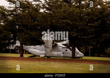 150725-M-JT438-084 NAIROBI, Kenia (25. Juli 2015) inszeniert ein MV-22 Osprey mit der "Greyhawks" der Marine Medium Tiltrotor Squadron 161 (Stahlbeton), 15. Marine Expeditionary Unit (MEU), nach dem Transport Personal während Präsident Barack Obama Besuch in Nairobi 25. Juli 2015 zu helfen. Elemente des 15. MEU, Sitz in Camp Pendleton, Kalifornien, und begann an Bord der Essex führen Marinebetriebe in der 6. Flotte Bereichen der Operation zur Unterstützung des nationalen Sicherheitsinteressen der USA in Europa und Afrika. (Foto: U.S. Marine Corps CPL Elize McKelvey/freigegeben) Stockfoto