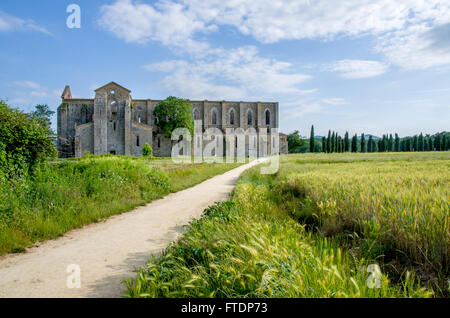 San Galgano Feldweg Medows grüne Ruinen Toskana Stockfoto