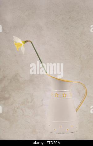 Eine einzelne Blume Stockfoto