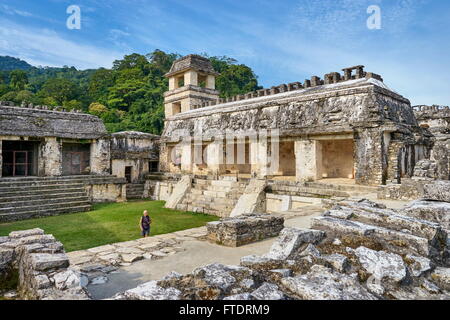 Ruine der Maya Palace, archäologische Stätte Palenque, Palenque, Chiapas, Mexiko Stockfoto