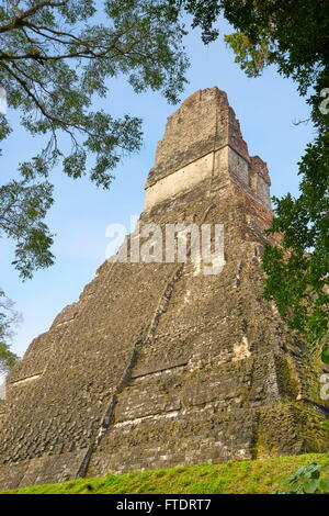 Maya-Ruinen - Tempel der großen Jaguar (Templo del Gran Jaguar), Tikal National Park, Guatemala, UNESCO Stockfoto