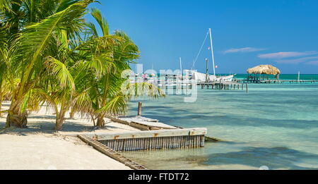 Belize - Caye Caulker Karibik-Insel, Zentralamerika Stockfoto