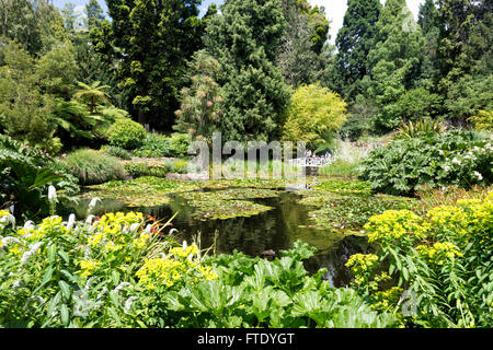 Royal Tasmanian Botanical Gardens, Hobart, Tasmanien, Australien Stockfoto