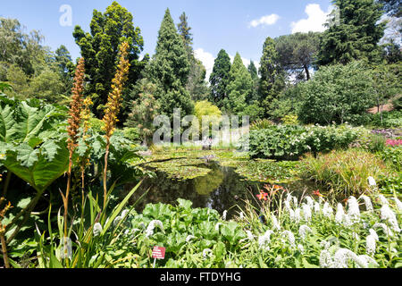 Royal Tasmanian Botanical Gardens, Hobart, Tasmanien, Australien Stockfoto