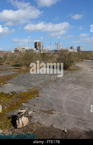 Einmal eine stark industrialisierte Gegend mit chemischen Werke erstreckt sich von West Bank in Widnes zum Kraftwerk. Stockfoto