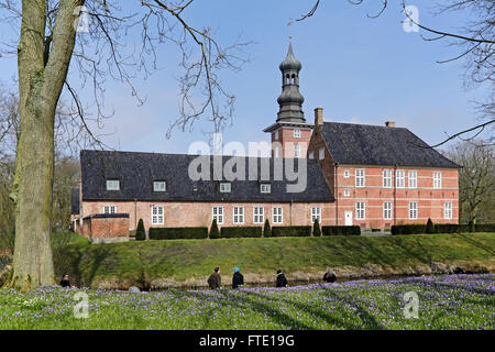 Burg, blühende Krokusse, Schlossgarten, Husum, Schleswig-Holstein, Deutschland Stockfoto