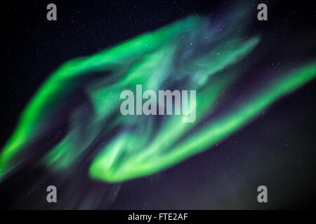 Aurora Borealis Phänomen, grüne umfangreiche Nordlicht über Stadt Nuuk, Grönland, Oktober 2015 Stockfoto