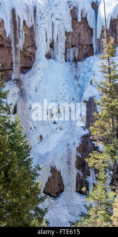 Eiskletterer klettert eine Route genannt In the Pink bewertete WI5 in Ouray Colorado Stockfoto