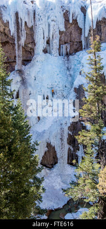 Eiskletterer klettert eine Route genannt In the Pink bewertete WI5 in Ouray Colorado Stockfoto