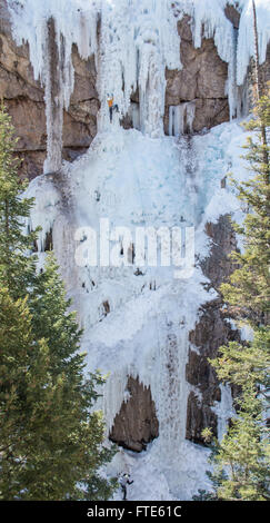 Eiskletterer klettert eine Route genannt In the Pink bewertete WI5 in Ouray Colorado Stockfoto