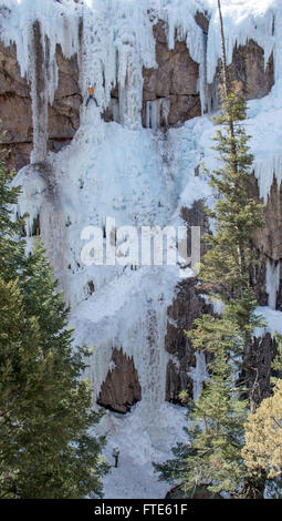 Eiskletterer klettert eine Route genannt In the Pink bewertete WI5 in Ouray Colorado Stockfoto