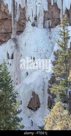 Eiskletterer klettert eine Route genannt In the Pink bewertete WI5 in Ouray Colorado Stockfoto