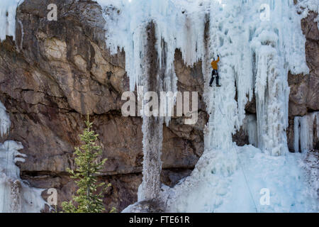 Eiskletterer klettert eine Route genannt In the Pink bewertete WI5 in Ouray Colorado Stockfoto