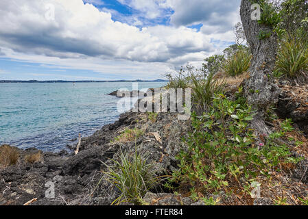 Blick auf das Festland Auckland Stadt von Rangitoto island Stockfoto