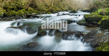 Ein Wasserfall entlang des East Lyn River in der Nähe von Lynmouth, Devon, England. Stockfoto