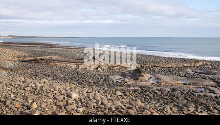 Panoramablick auf Greymare Felsen überqueren den Strand bei Dunstanburgh, Northumberland, England, UK Stockfoto