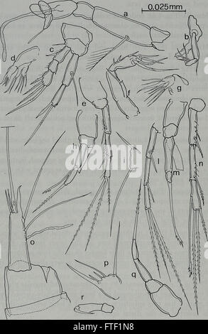 Annali del Museo Civico di Storia Naturale Giacomo Doria (1994)