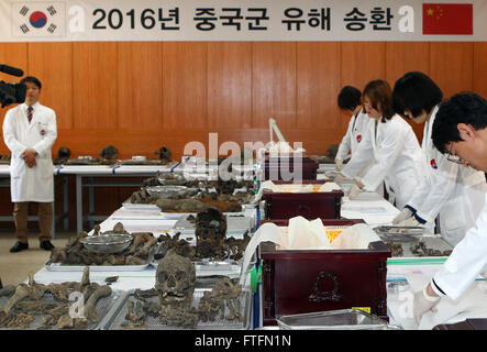 Paju, Südkorea. 28. März 2016. Südkoreanische Arbeiter bereiten die Reste von chinesischen Soldaten gestorben in den Koreakrieg Anfang der 1950er Jahre in Paju, Südkorea, 28. März 2016. Die Reste von 36 chinesischen Soldaten werden nach der Übergabezeremonie am 31. März zurück nach China geflogen. © Yao Qilin/Xinhua/Alamy Live-Nachrichten Stockfoto