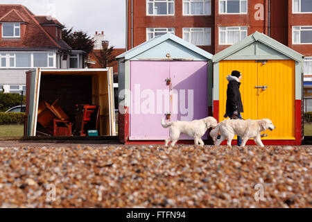 Brighton, UK. 28. März 2016. Eine Dogwalker übergibt beschädigte Strandhütten in Hove, nachdem Wind und Regen durch Sturm Katie brachte die Küste in Brighton, East Sussex, UK Montag, 28. März 2016 zerschlagen. BBC berichten "Sturm Katie Böen von bis zu 105 km/h Misshandlung von England und Wales, mit mehreren Flügen von Flughäfen umgeleitet gesehen hat und große Brücken geschlossen". Bildnachweis: Luke MacGregor/Alamy Live-Nachrichten Stockfoto